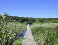 Nqabara Eco River Lodge, Durban South Africa
