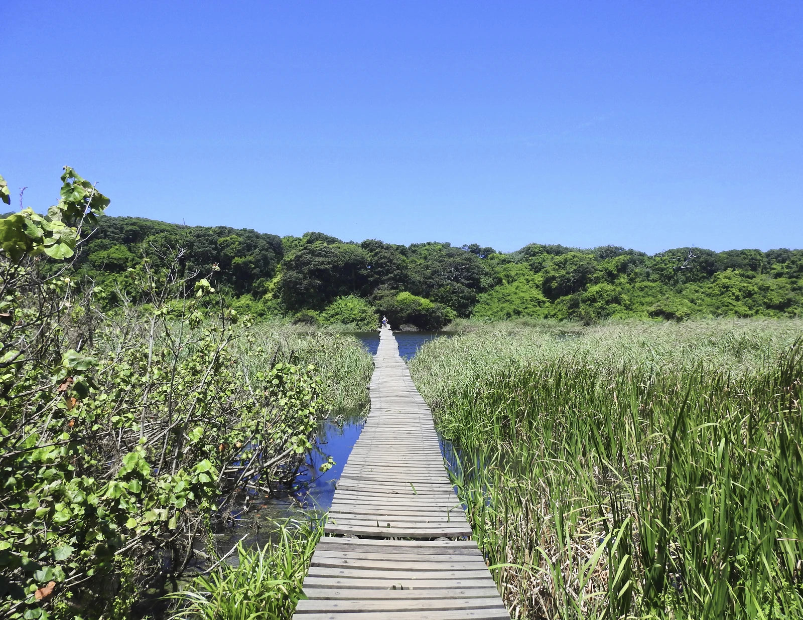 Nqabara Eco River Lodge, Durban South Africa