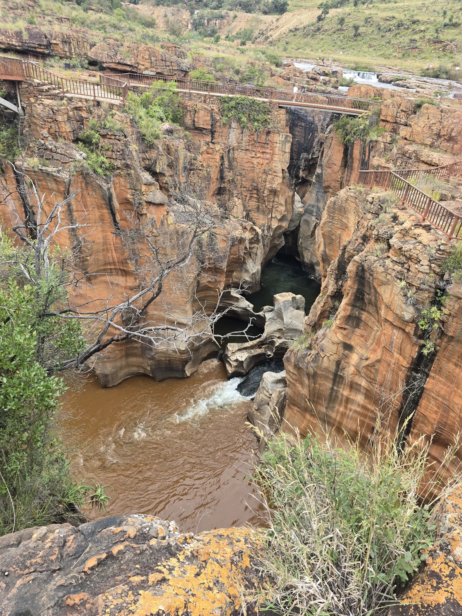 Numbi Gate @ Kruger National Park, 
Pretoriuskop - Skukuza Rd South Africa