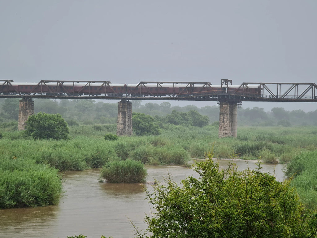 Numbi Gate @ Kruger National Park, 
Pretoriuskop - Skukuza Rd South Africa