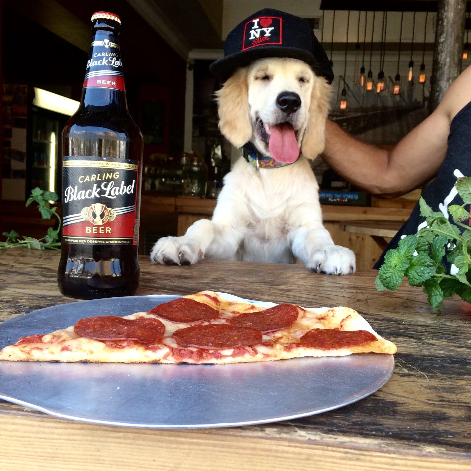 NY Slice Pizza Kloof Street, Cape Town South Africa