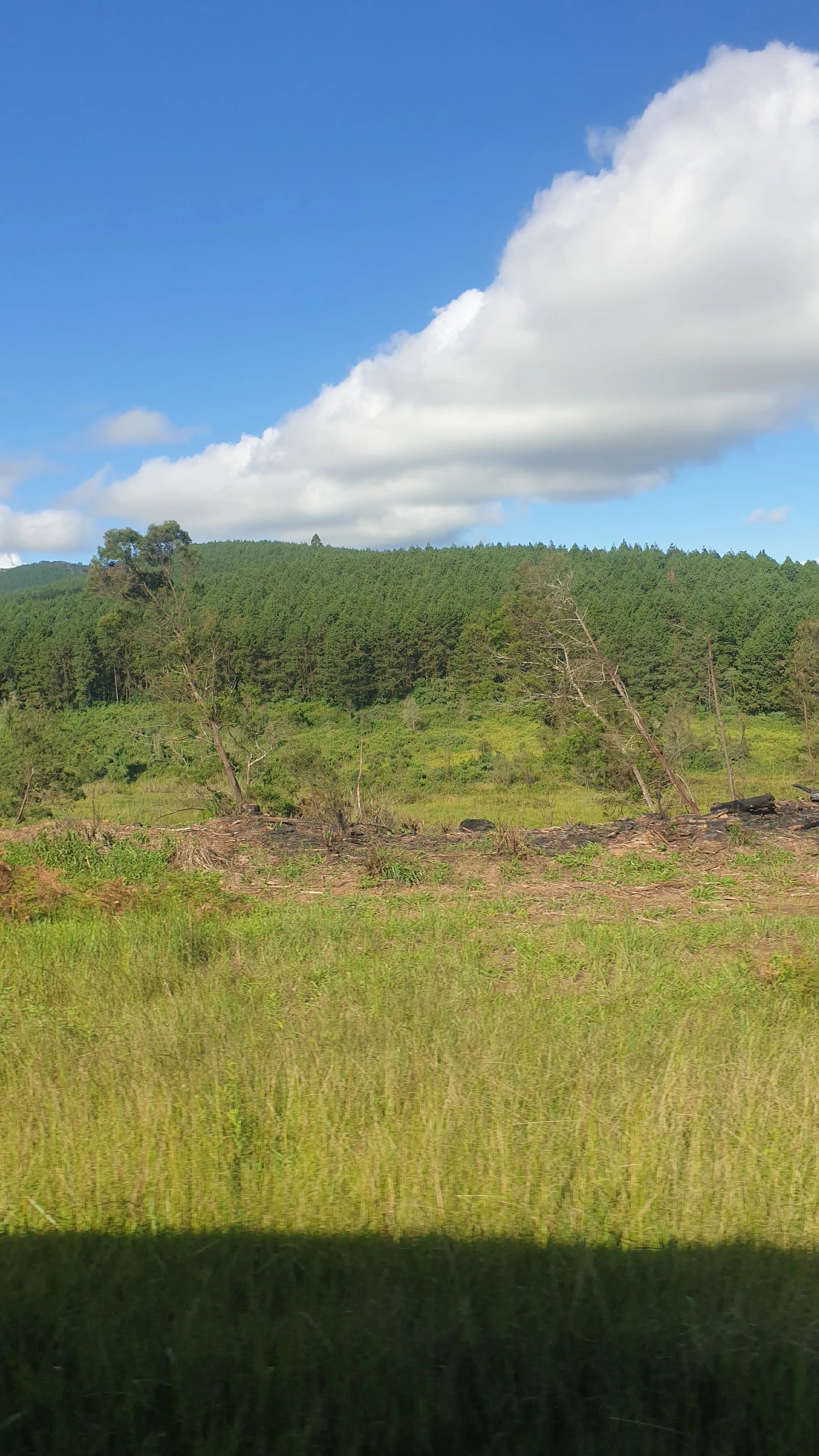 Nyanga National Park, Sanyatwe Zimbabwe