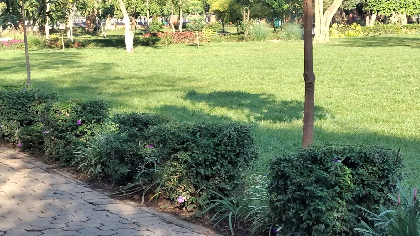 Nyayo Gardens Park, Nakuru Kenya