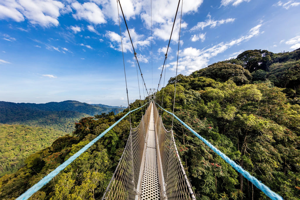 Nyungwe National Park,  Rwanda