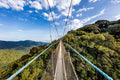 Nyungwe National Park,  Rwanda