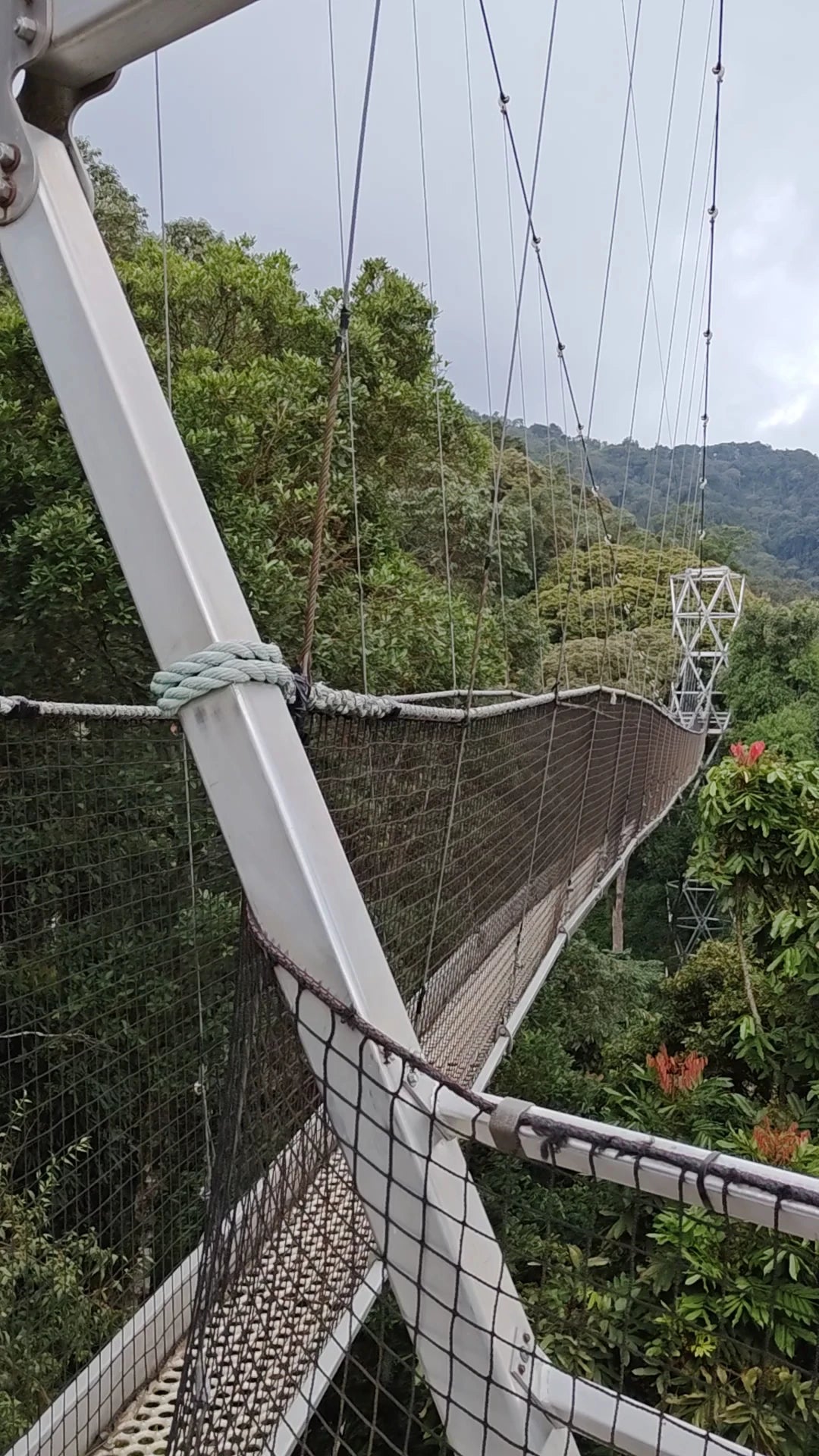 Nyungwe National Park,  Rwanda