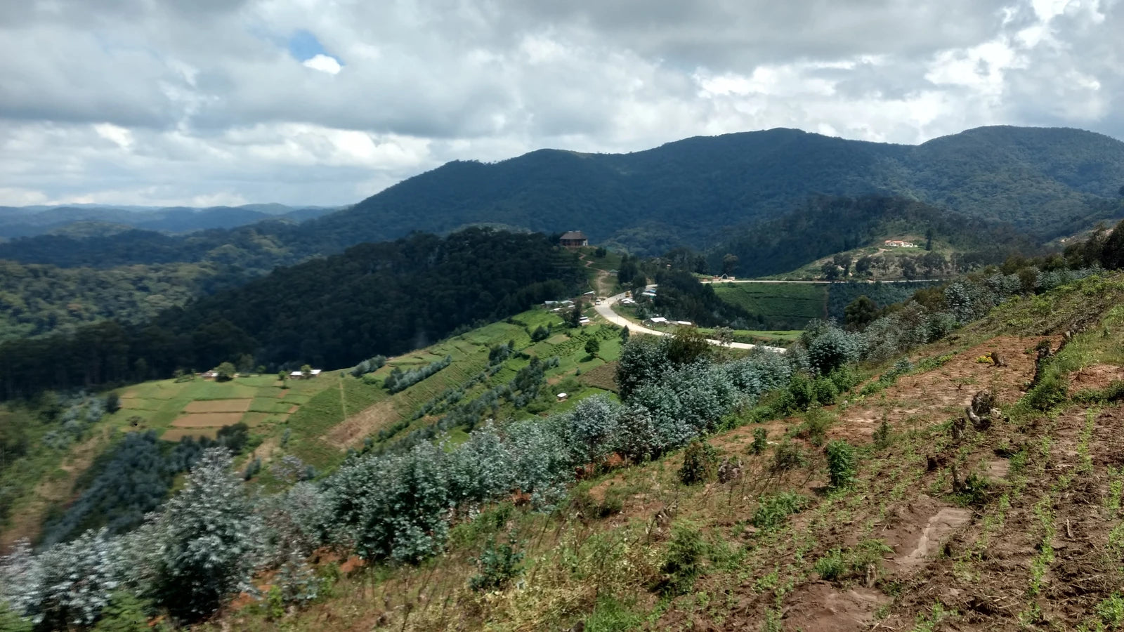 Nyungwe National Park,  Rwanda