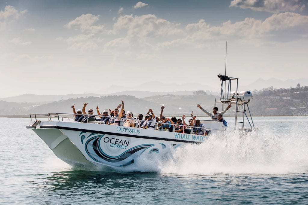 Ocean Odyssey Whale Watching Knysna, Knysna South Africa