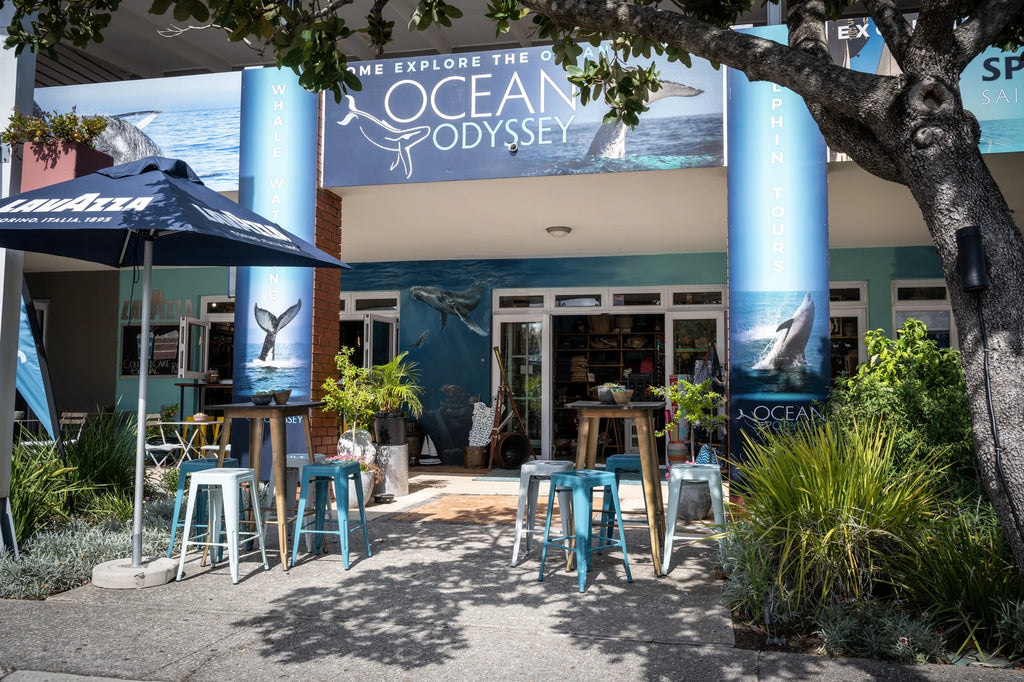 Ocean Odyssey Whale Watching Knysna, Knysna South Africa