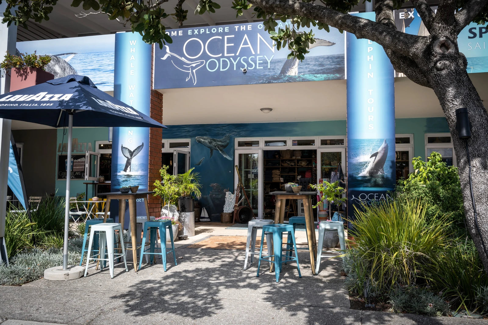 Ocean Odyssey Whale Watching Knysna, Knysna South Africa