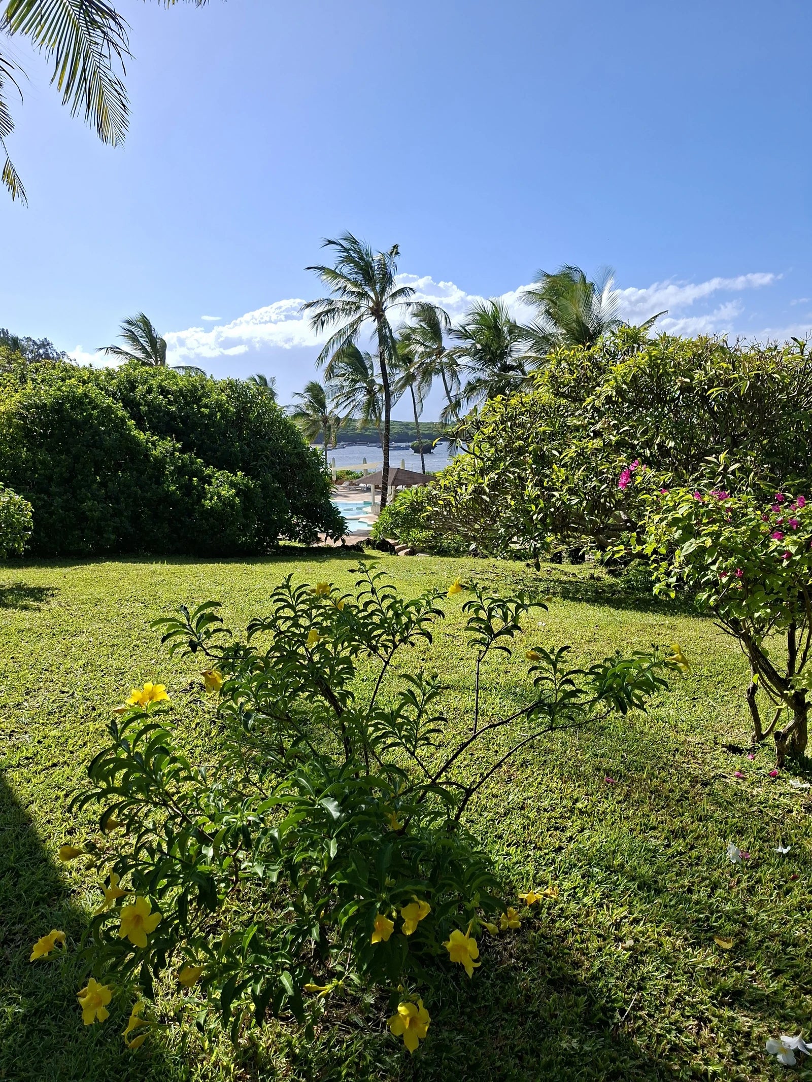 Ocean Sports, Watamu Kenya