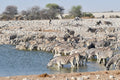 Okaukuejo Etosha, Okaukuejo Namibia
