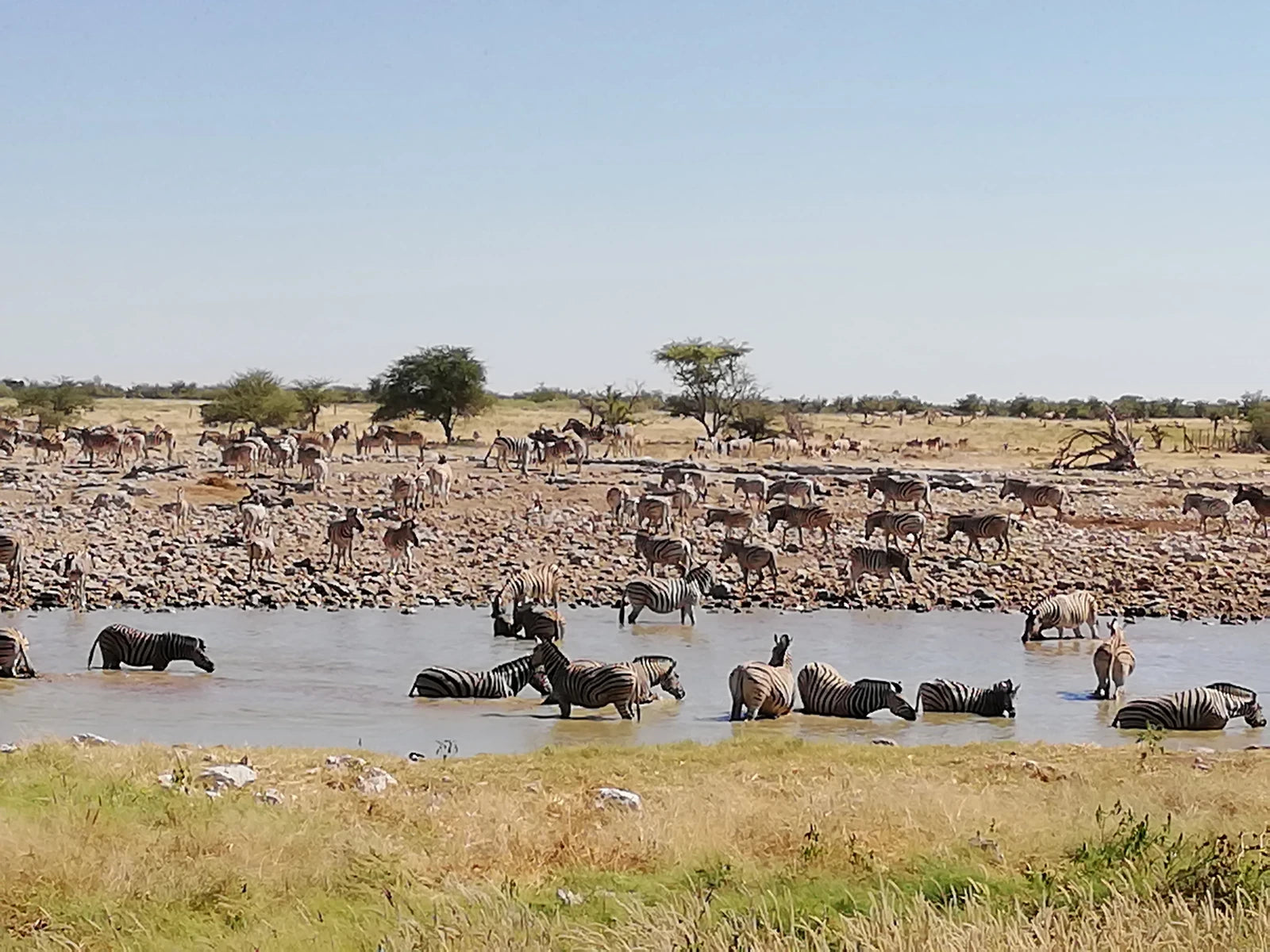 Okaukuejo Etosha, Okaukuejo Namibia