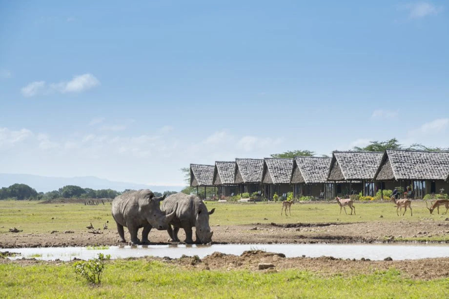 Ol Pejeta Conservancy, Nanyuki Kenya