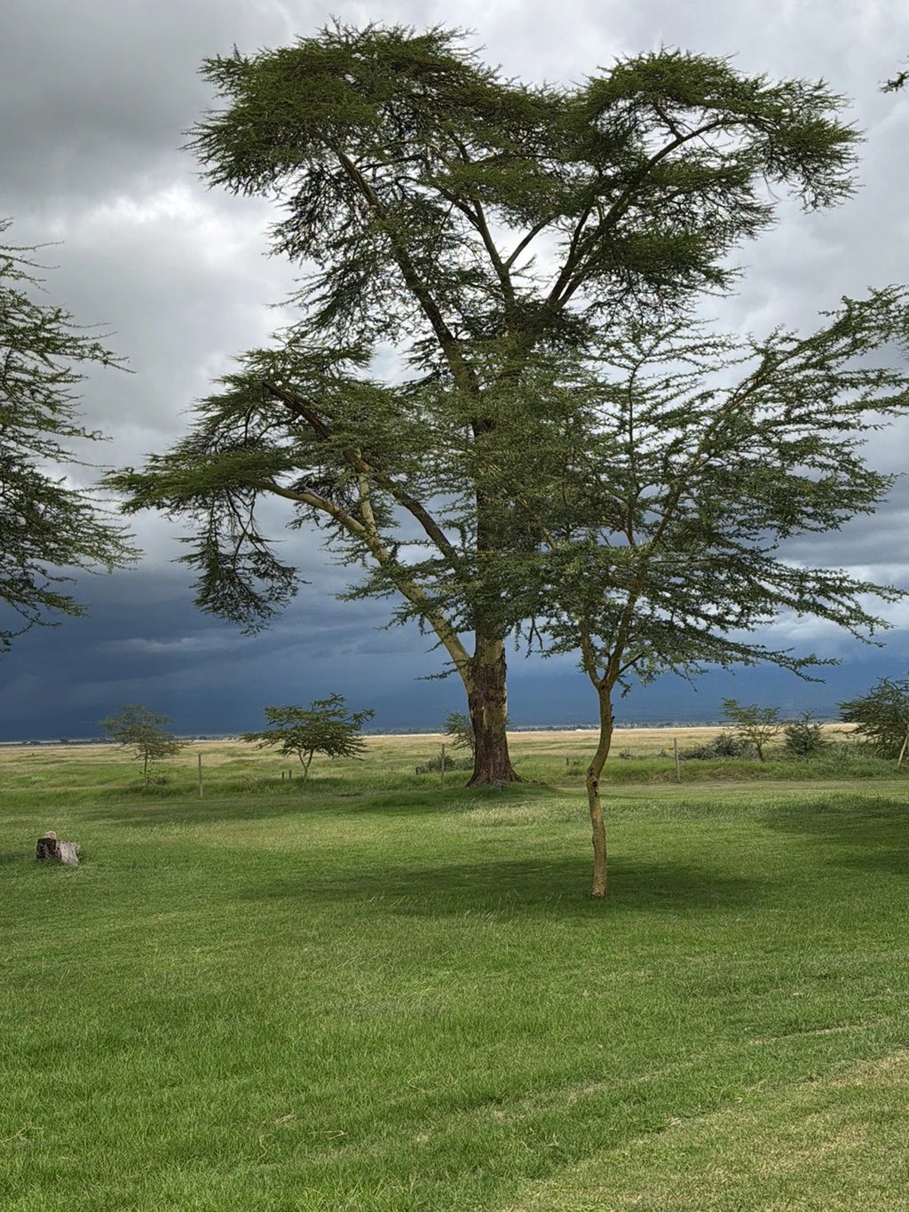 Ol Tukai Lodge Amboseli, Kajiado Kenya