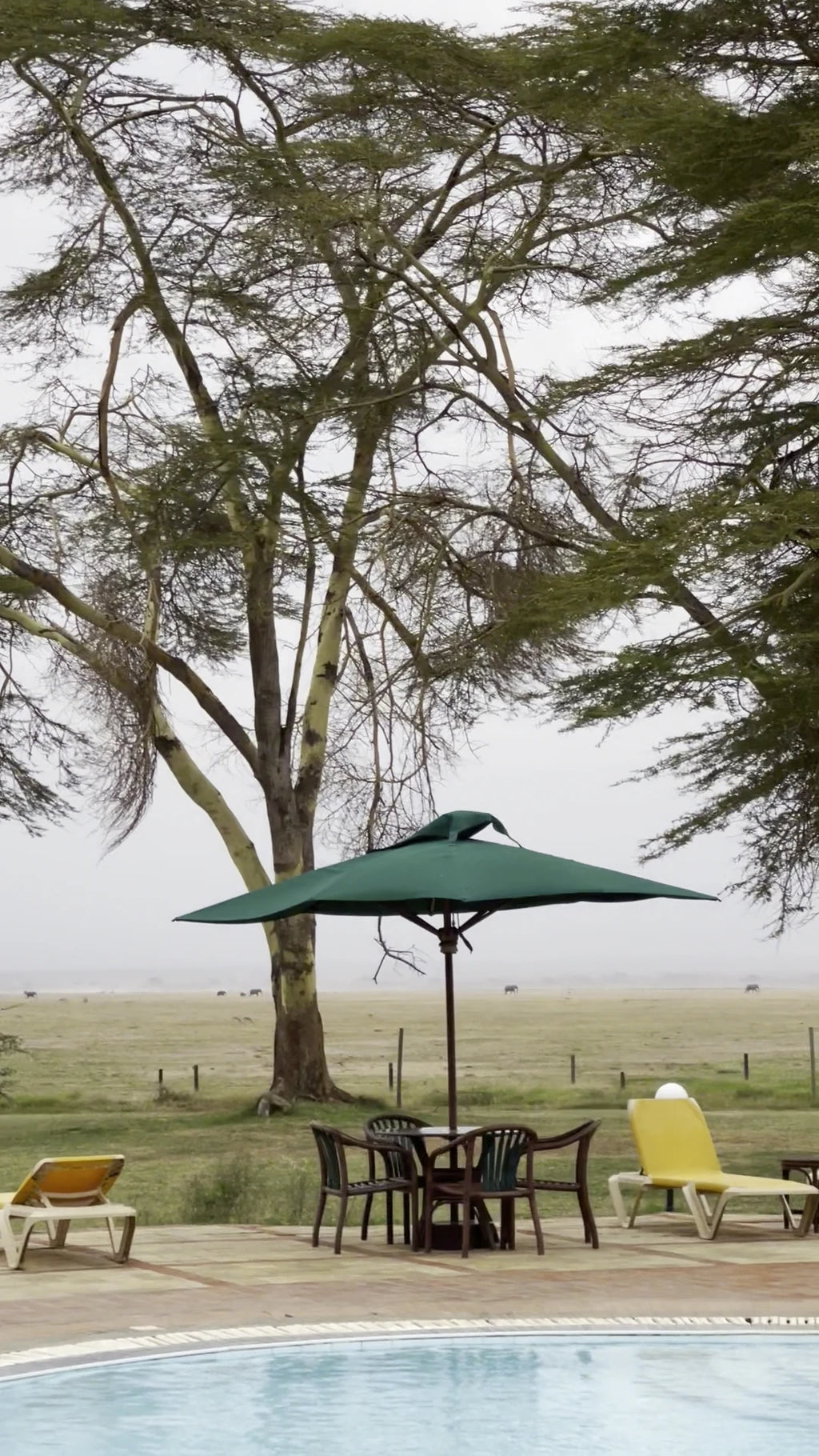 Ol Tukai Lodge Amboseli, Kajiado Kenya