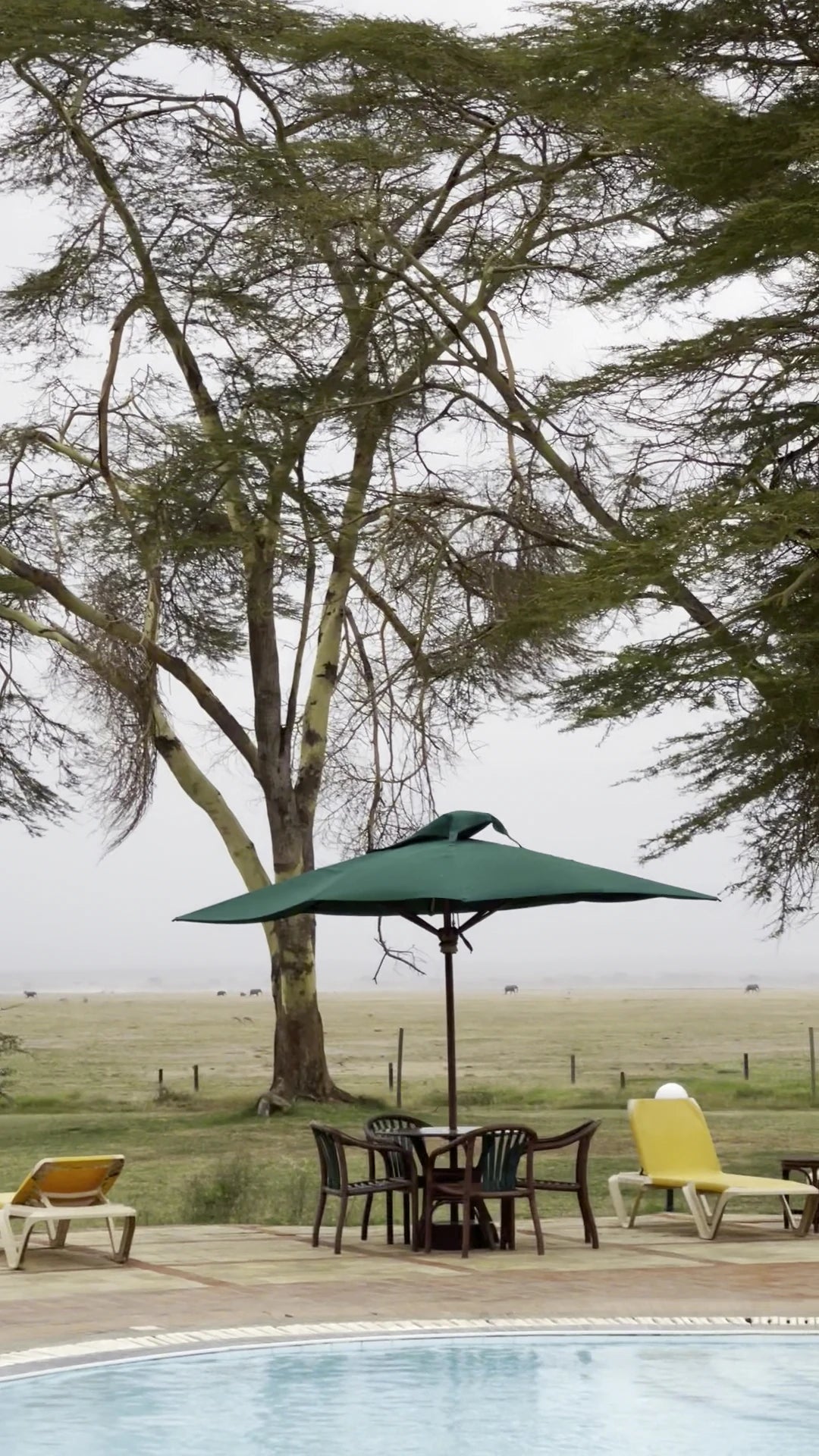 Ol Tukai Lodge Amboseli, Kajiado Kenya