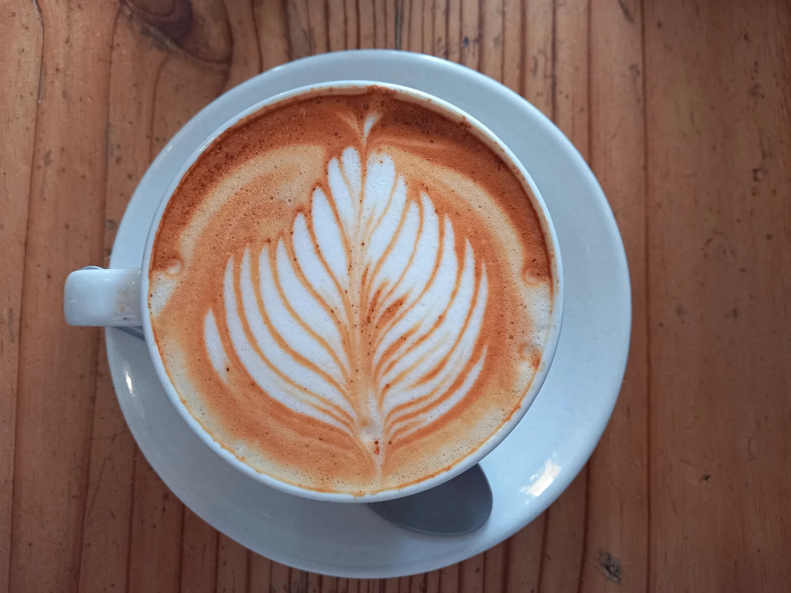 Olympia Cafe, Cape Town South Africa