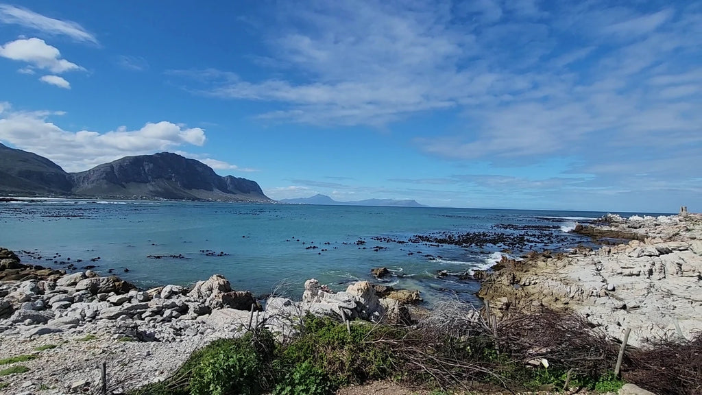 On the Edge Restaurant - Betty's bay, Betty's Bay South Africa