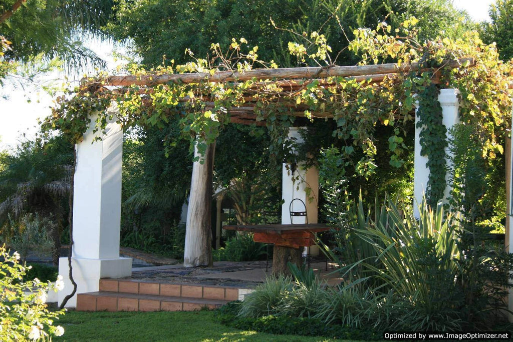 Oranjerus River Resort Upington, Upington South Africa