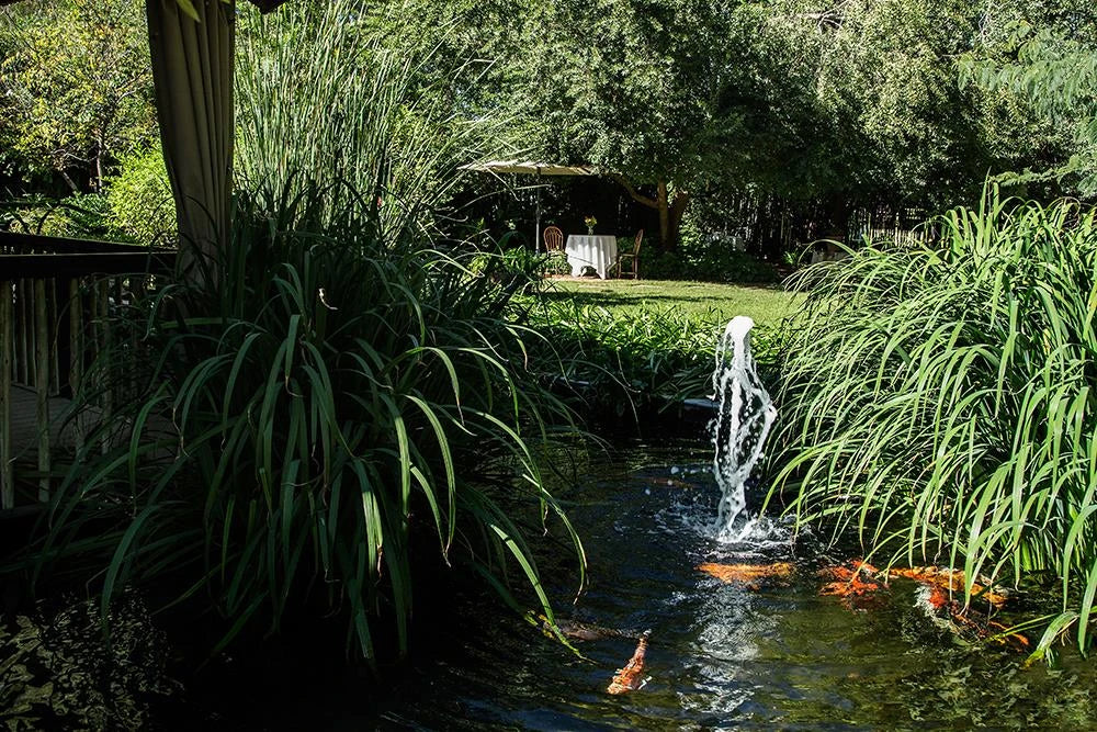 Otjiwarongo Crocodile Farm, Otjiwarongo Namibia