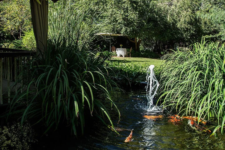 Otjiwarongo Crocodile Farm