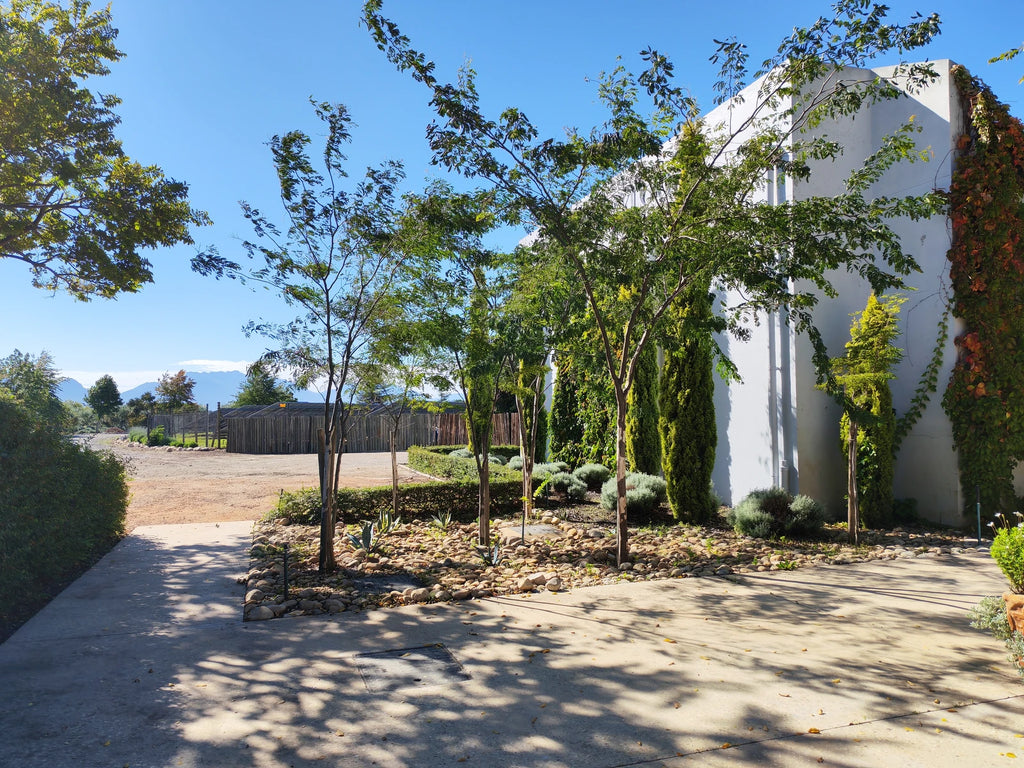 Ou Meul Du Toitskloof, Rawsonville South Africa