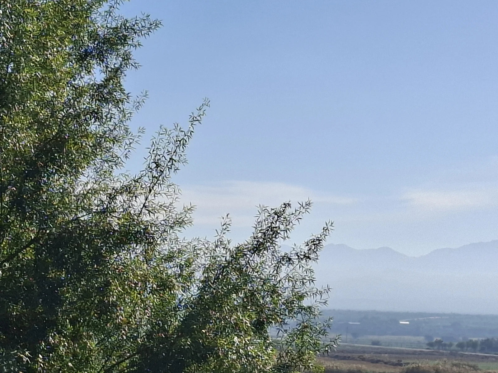 Oudtshoorn, 
Oudtshoorn South Africa
