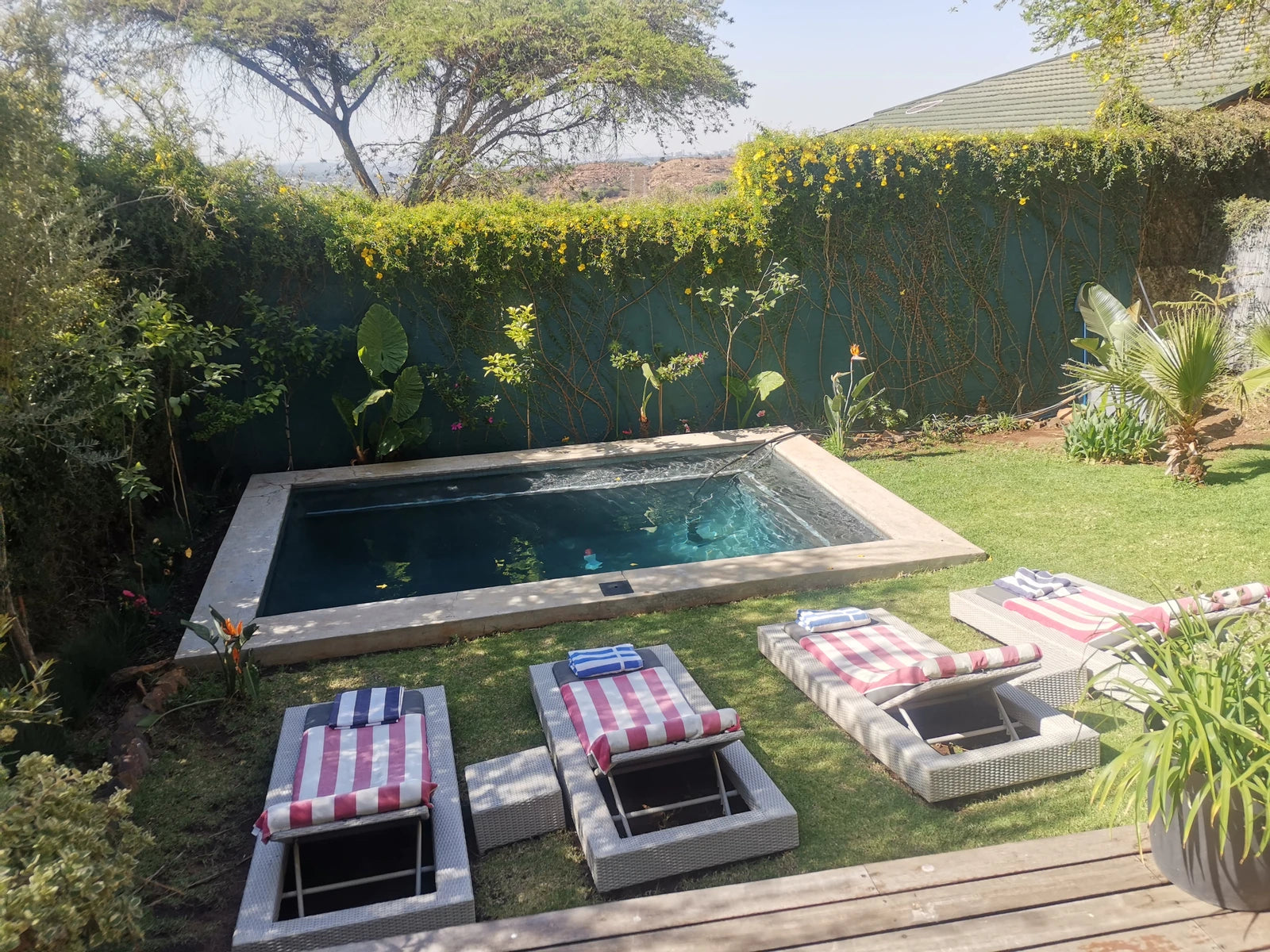 Pablo House - Melville Guest House, Johannesburg South Africa