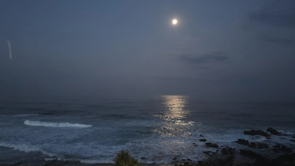 Palm Terrace, Ballito South Africa