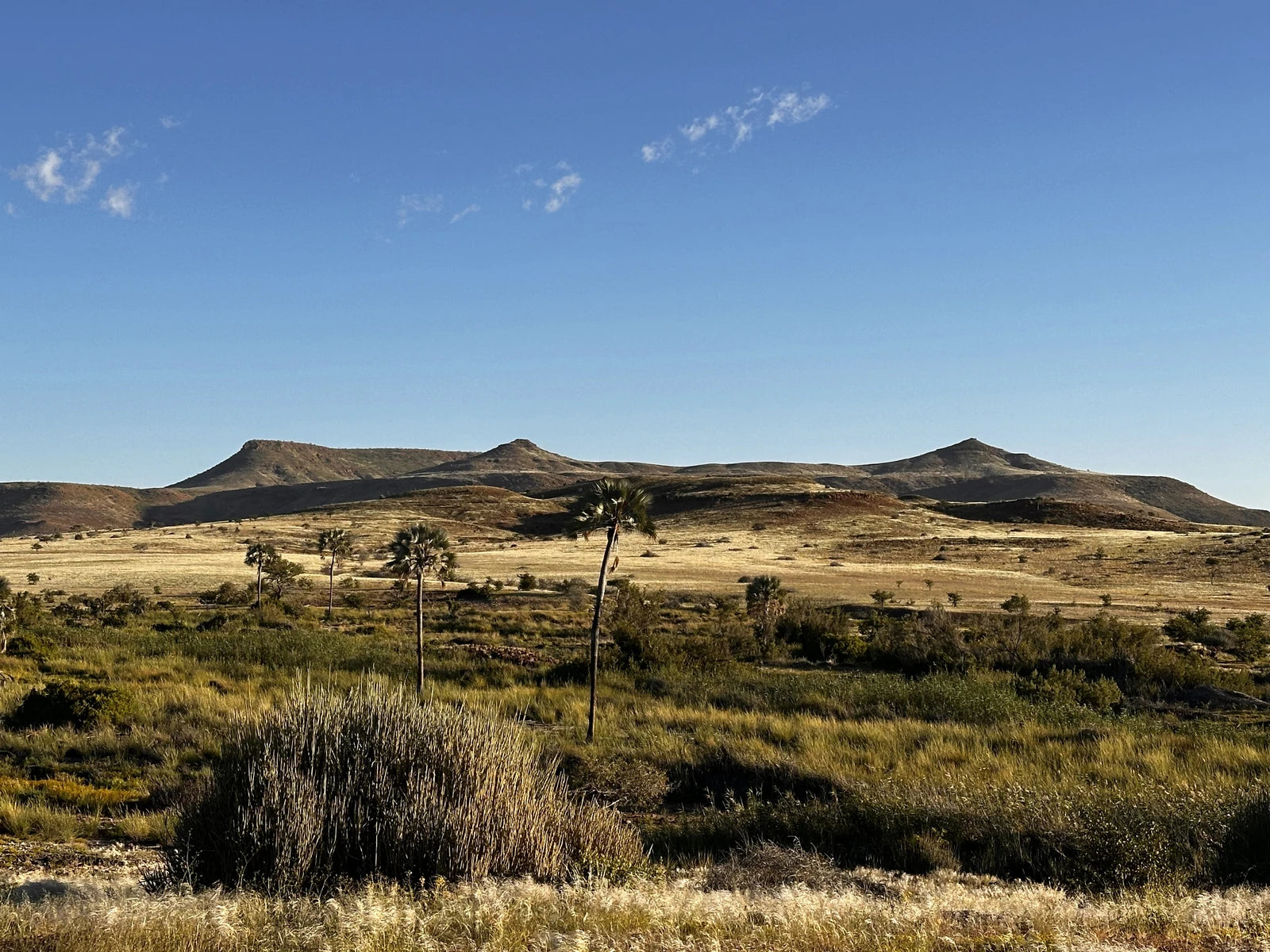 Palmwag Lodge - Gondwana Collection, Palmwag Namibia