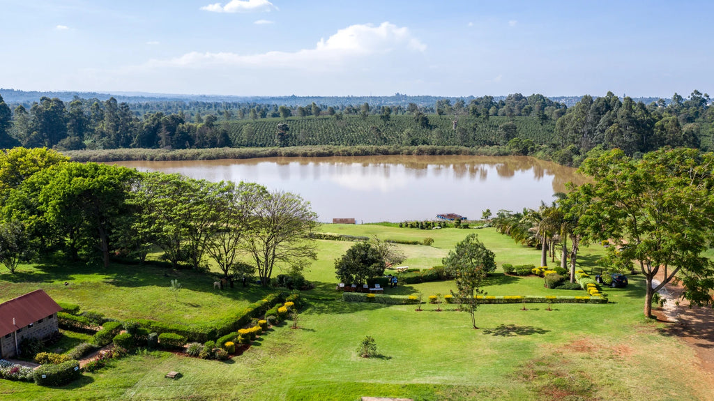 Paradise Gardens, Nairobi Kenya