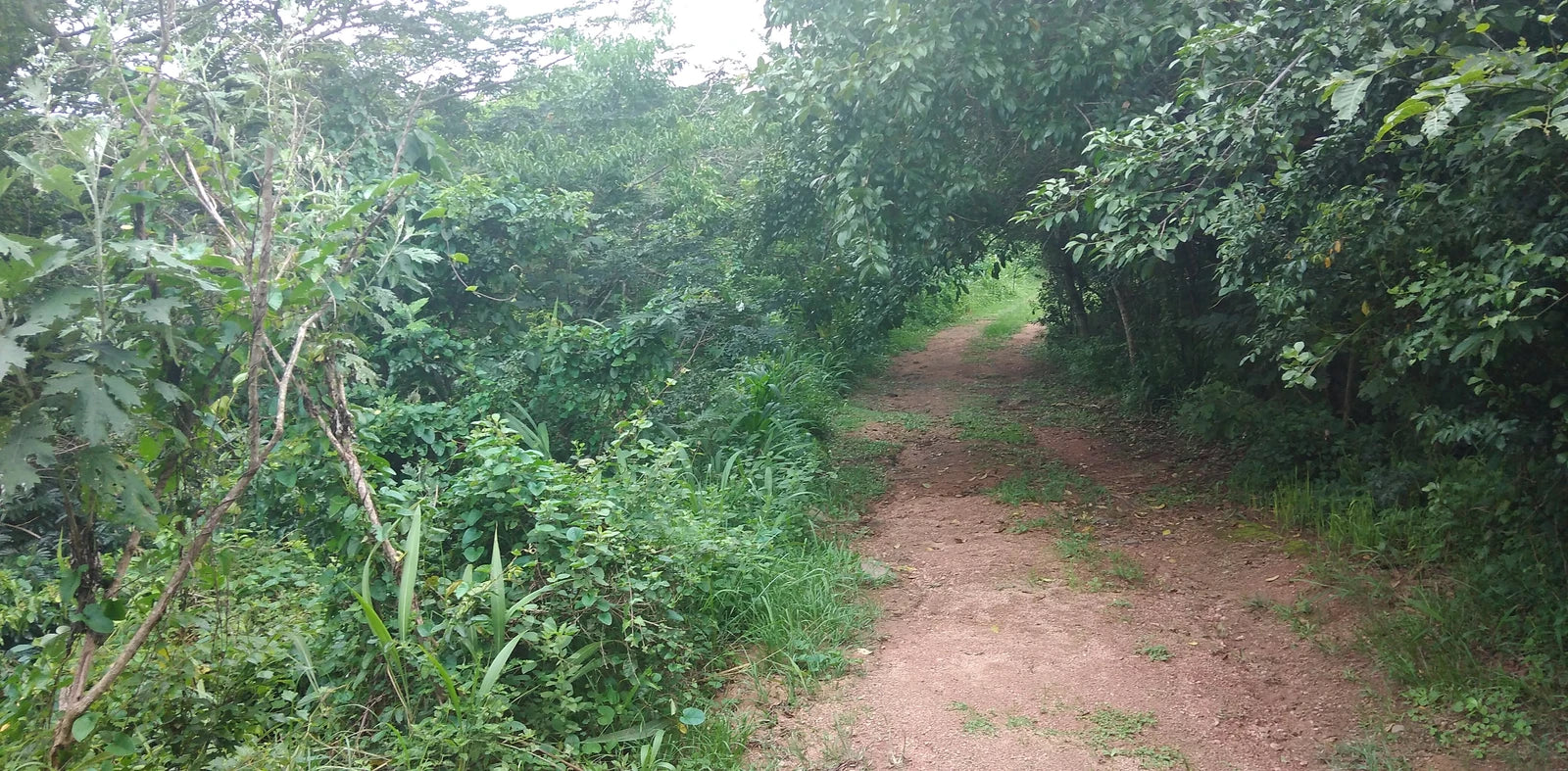 Paradise Valley, Durban South Africa