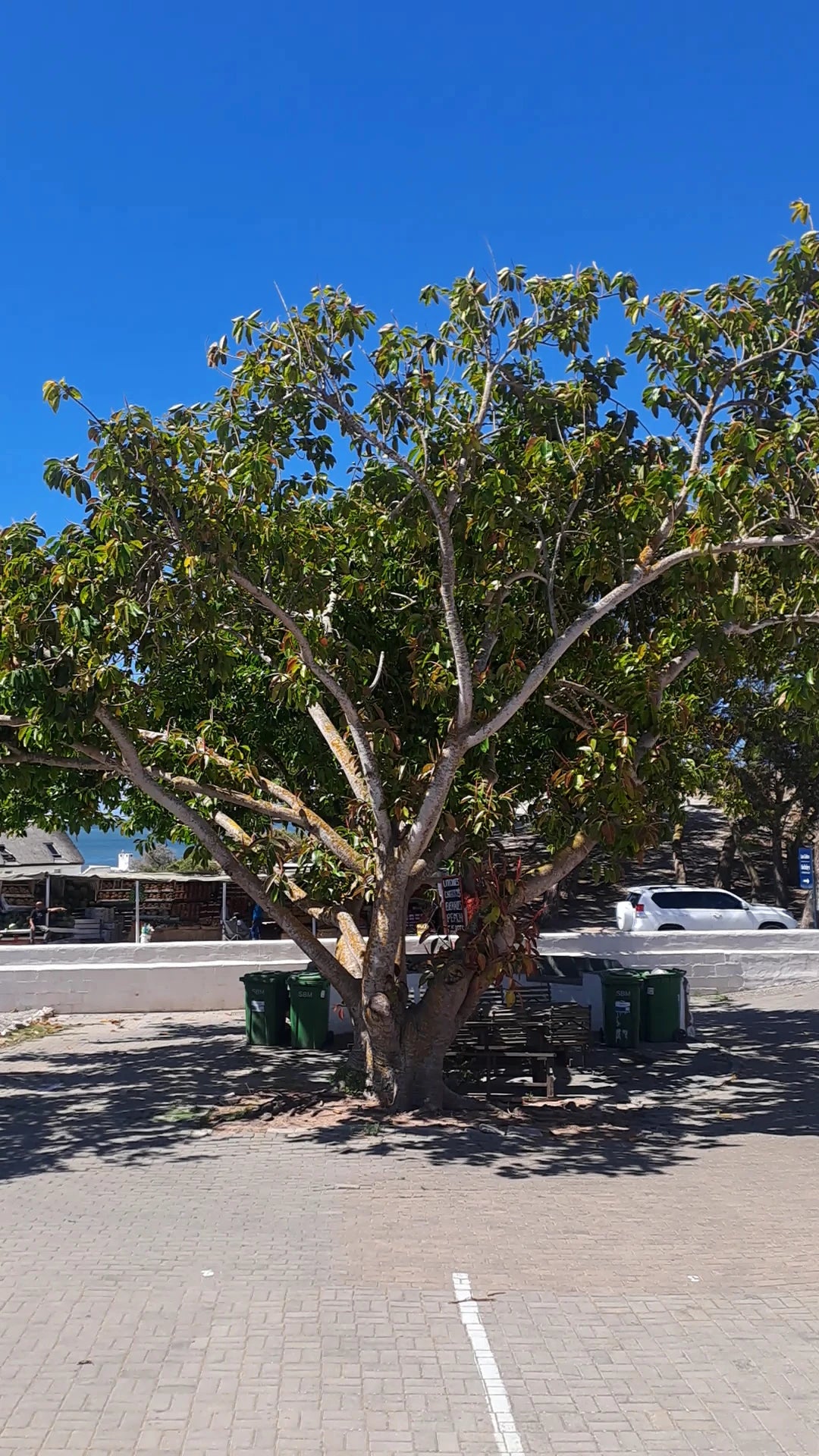 Paternoster Hotel, Paternoster South Africa