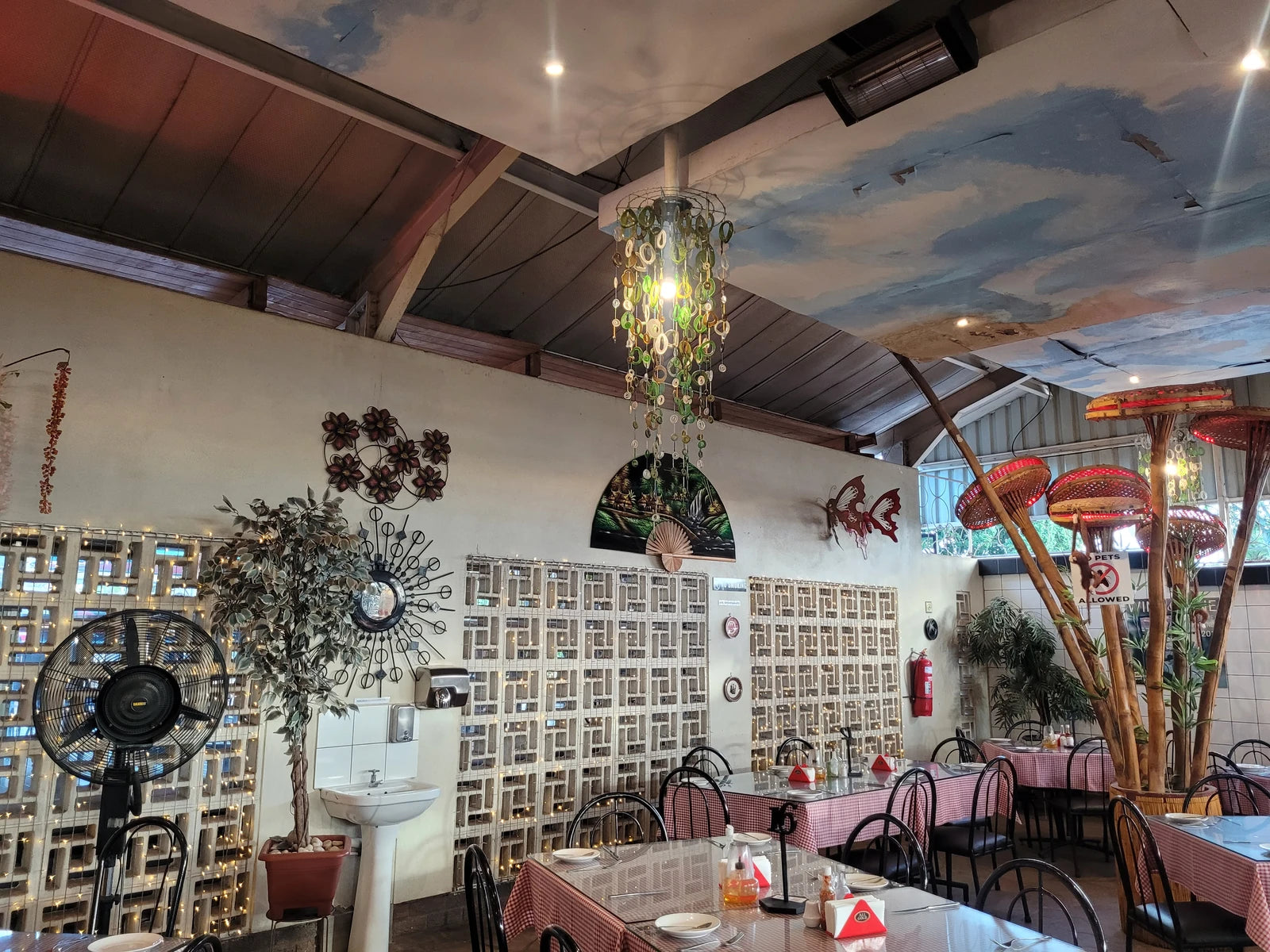 Paula's Place, Harare Zimbabwe