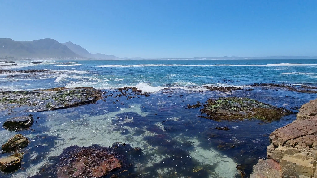 Pear Tree Bistro, Hermanus South Africa