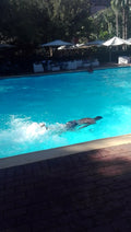 Peermont, The Grand Palm, Gaborone Botswana