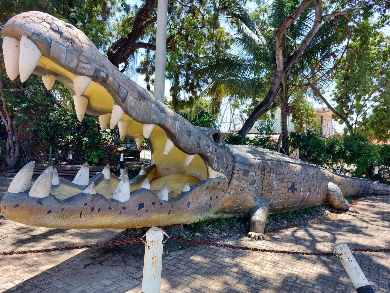 Pembe Za Ndovu – Elephant Tusks, Mombasa Kenya