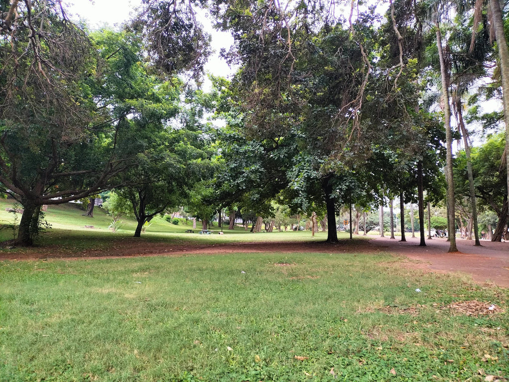 People's Park, Durban South Africa