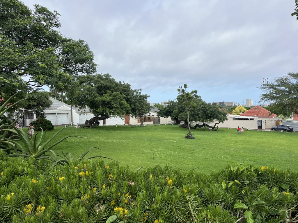 People's Park, Durban South Africa