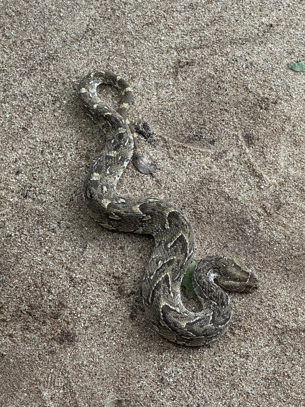 Perry's Bridge Reptile Park, Hazyview South Africa