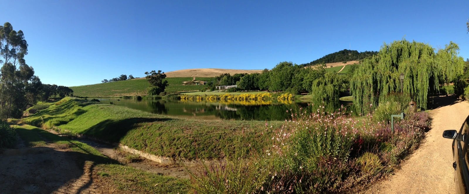 Peter Falke Wines, Stellenbosch South Africa