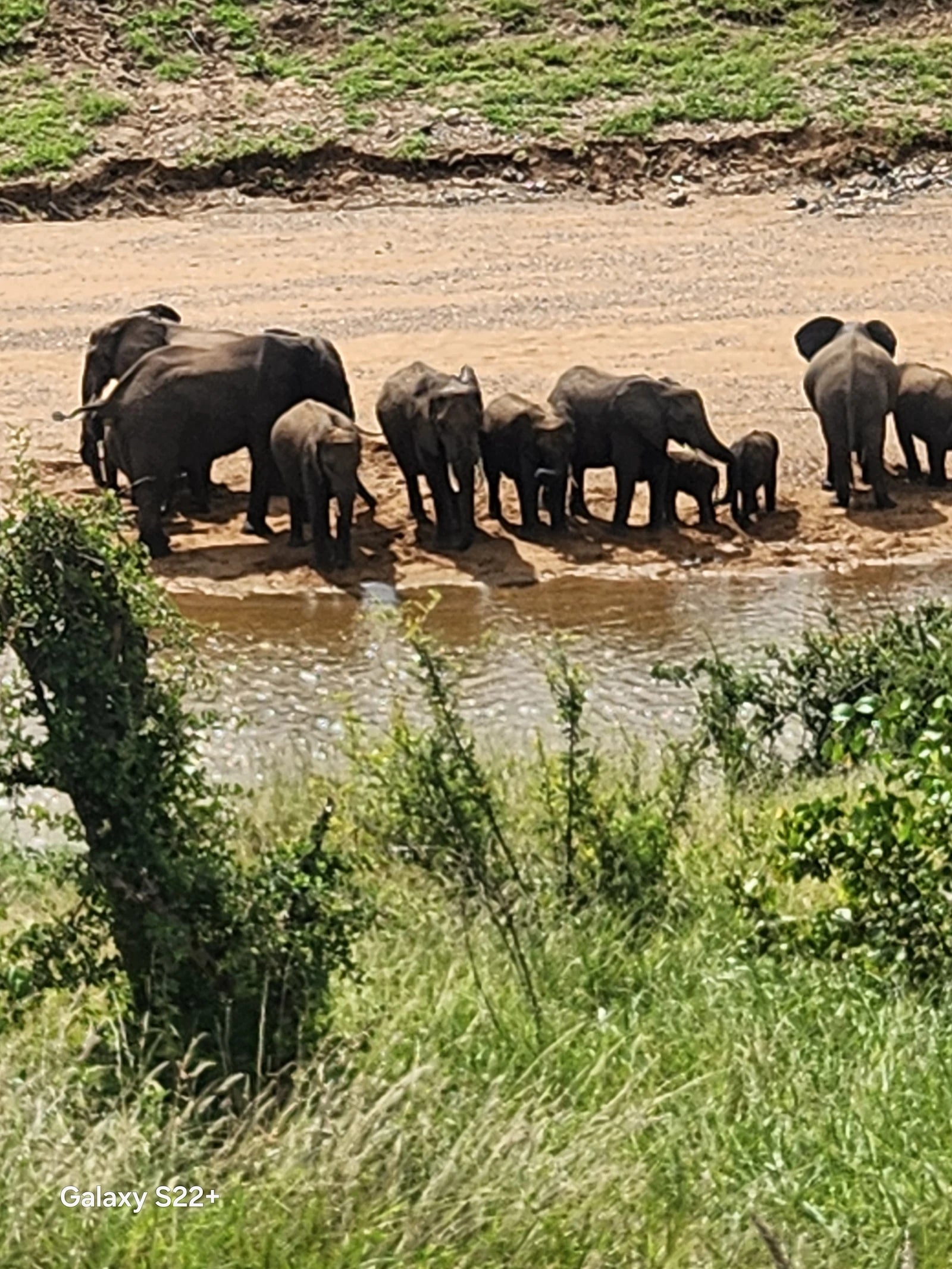 Phalaborwa Gate @ Kruger National Park, Kruger National Park South Africa
