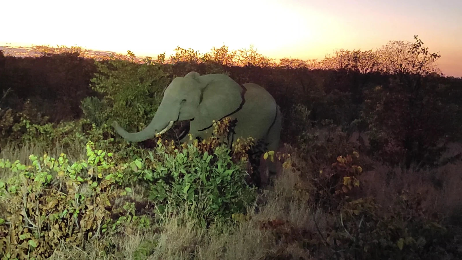 Phalaborwa Gate @ Kruger National Park, Kruger National Park South Africa