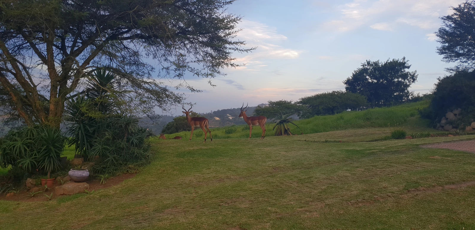 PheZulu Safari Park, Outer West Durban South Africa