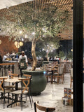 Piatto Stone Ridge, Modderfontein South Africa