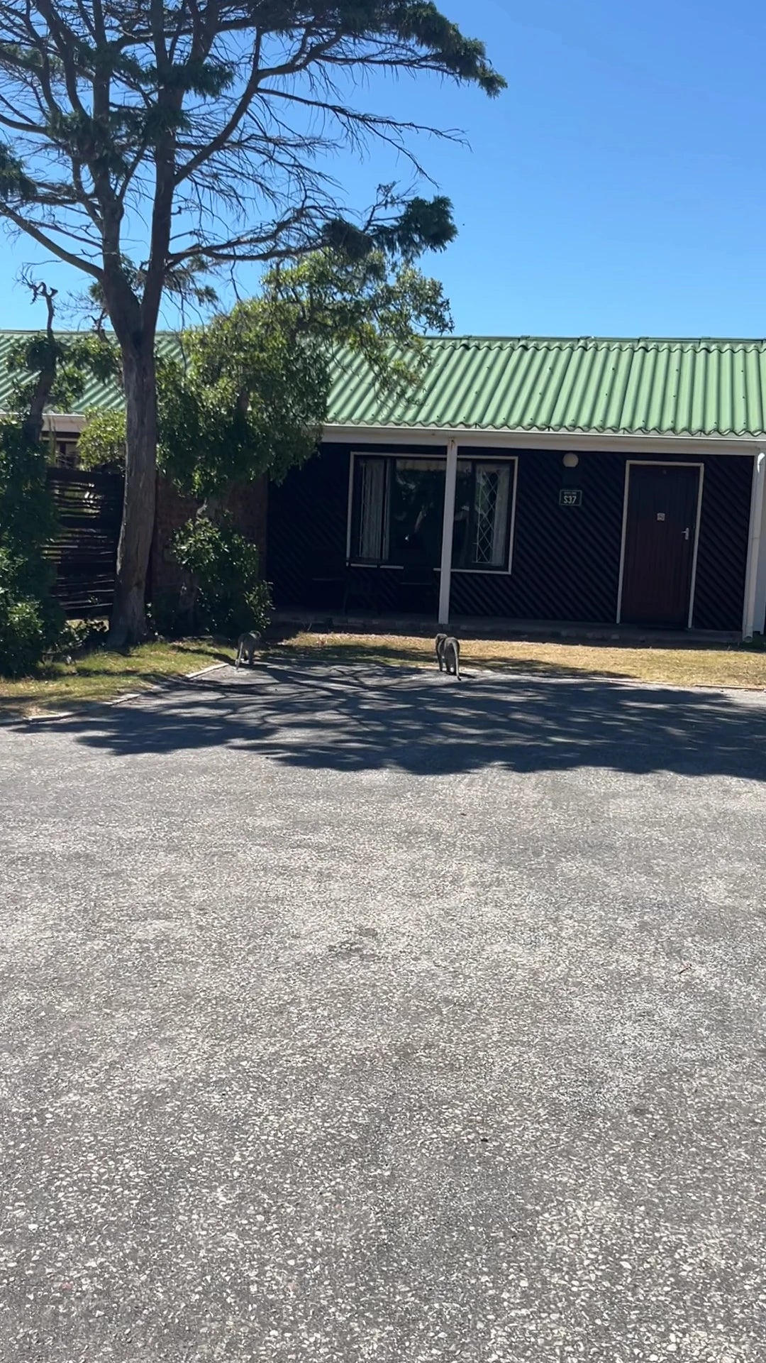 Pine Lodge Resort & Conference Centre, Gqeberha South Africa