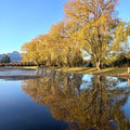 Plaaslik Restaurant & Venues, Vredenheim, Stellenbosch Wine District South Africa