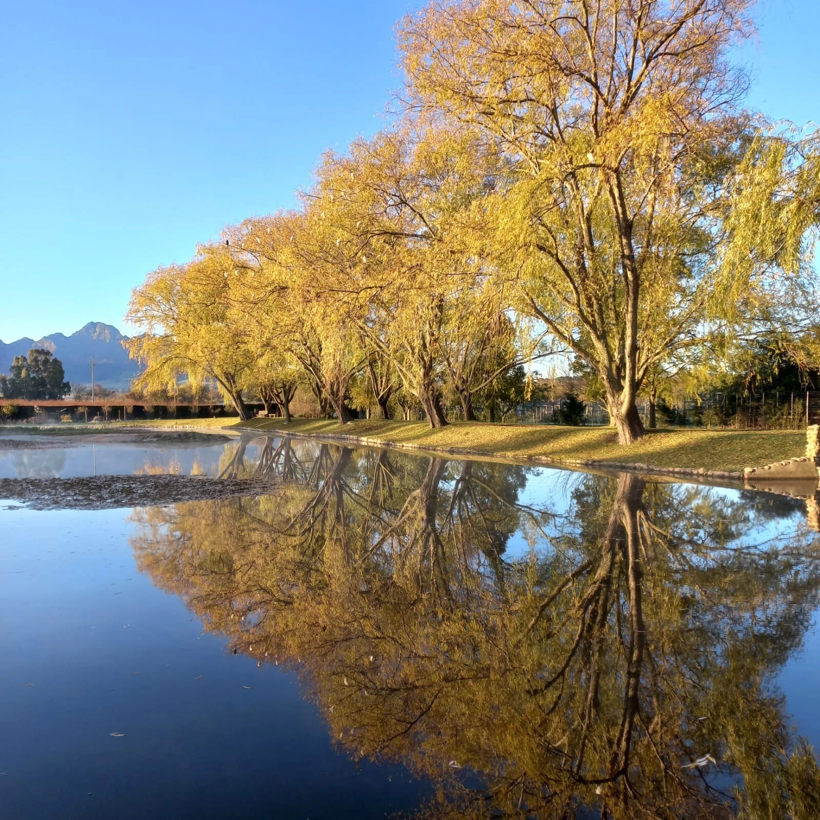 Plaaslik Restaurant & Venues, Vredenheim, Stellenbosch Wine District South Africa
