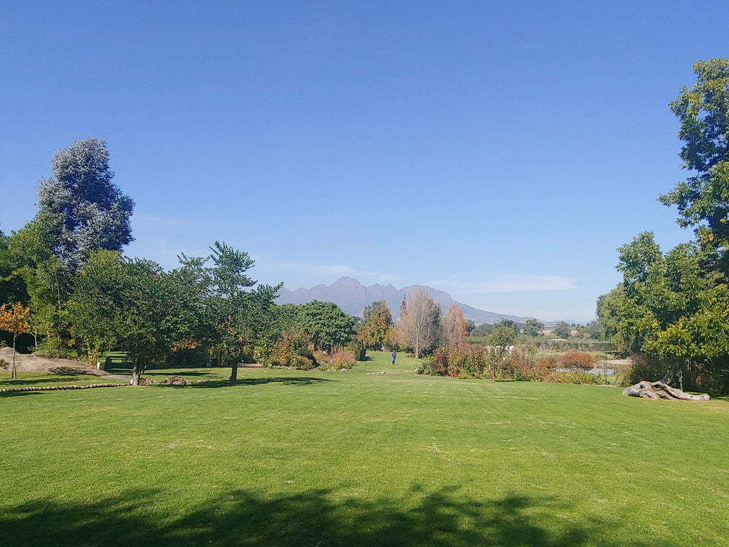Plaaslik Restaurant & Venues, Vredenheim, Stellenbosch Wine District South Africa